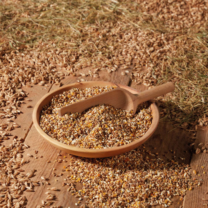 Landleben Freiland Körnerfutter